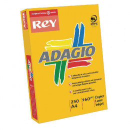 Adagio Card A4 160g Orange Pk250