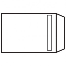 Evolve C5 Recycled Envelopes White SS 100g P500
