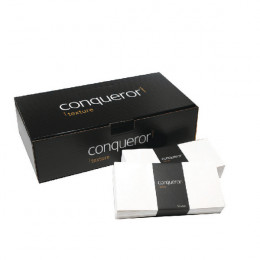 Conqueror Laid DL Envelope Bril White P500