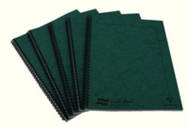 Europa Cash Book A4 4Cash Green 4953