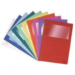 Forever Window File Assorted Pk100 50100E