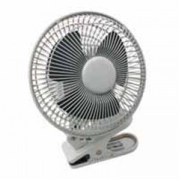 Fans