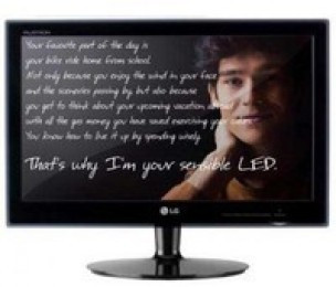 LG LED LCD Monitor 19in E1940S-PN