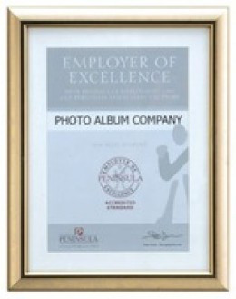 Premium Cert Frame With A4 Mount Gold