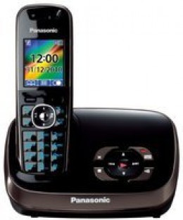 Panasonic