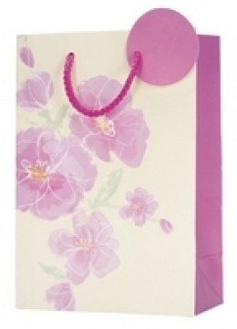 Allwrap Blooming Marvellous Medium Gift Bag