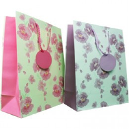 Allwrap Blooming Marvellous Lge Gift Bag