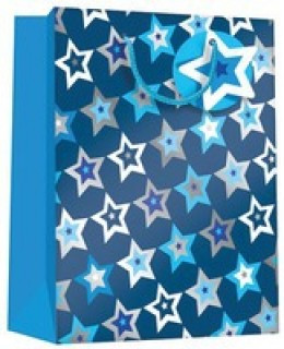 Regent Gift Bag Flash Star Large  Z144L