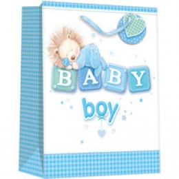 Regent Cuddles For Him Medium Gift Bag