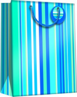 Regent Marine Blues Medium Gift Bag