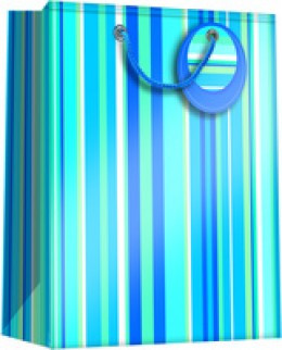 Regent Marine Blues Large Gift Bag