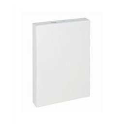 Canon Extra Multifunctional Paper Ream-Wrapped 100gsm A3 White Ref 3841 [500 Sheets]