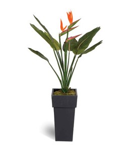 Stewart Superior Artificial Plant in Tall Metal Pot H1200mm Bird of Paradise Ref 9900209