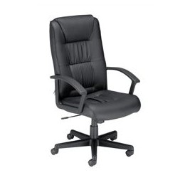 Trexus Cambridge Leather Armchair Seat W500xD520xH460-550mm Ref 11098-01A