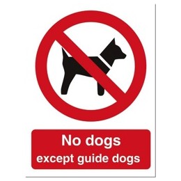 Stewart Superior No Dogs Except Guide Dogs Self Adhesive Sign Ref P091SAV