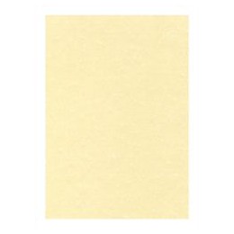 ADDIS 50LT PRESS TOP BIN METALLIC 512834