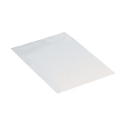 Ambassador Polybags Polythene Lightweight 120 Gauge 250x300mm Ref PRS-02550305-L [Pack 1000]