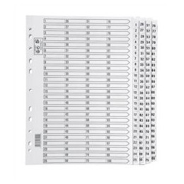5 Star Index 230 micron Card with Clear Mylar Tabs 1-100 A4 White