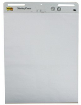 Post-It Meeting Chart with Free Meeting Notes [Pack of 2]