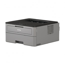 Brother HL-L2310D Mono Laser Printer