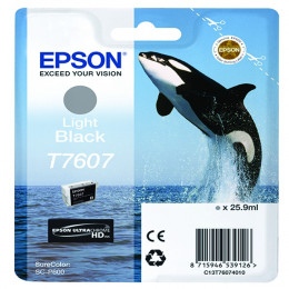 Epson T760740 Light Black Ink Cartridge