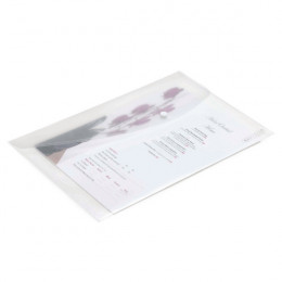 Rapesco Popper Wallet Foolscap Clear