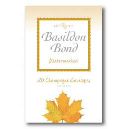 Basildon Small Envelopes Champagne [Pack of 10x20]