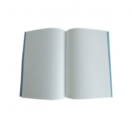 Silvine 9x7 Inch Exercise Books 7mm Square Blue [Pack of 10]