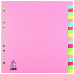 Manilla Dividers A4 20 Part Multicoloured
