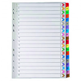 Mylar Index A4 1-20 Multicoloured