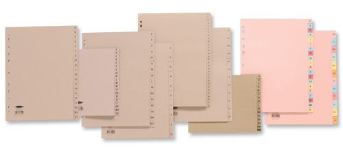 Concord A4 Jan-Dec Divider Multicolour [Pack of 10] alternative image 2