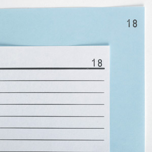 Challenge Duplicate Book 297x195mm [Pack of 3] alternative image 2