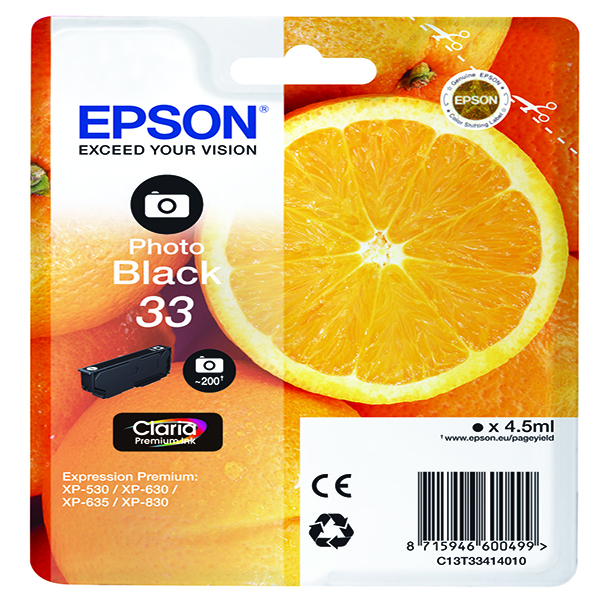 Epson 33 Photo Black Inkjet Cartridge C13T33414010 / T3341