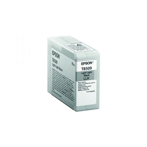 Epson Light Light Black Ink Cartridge C13T850900