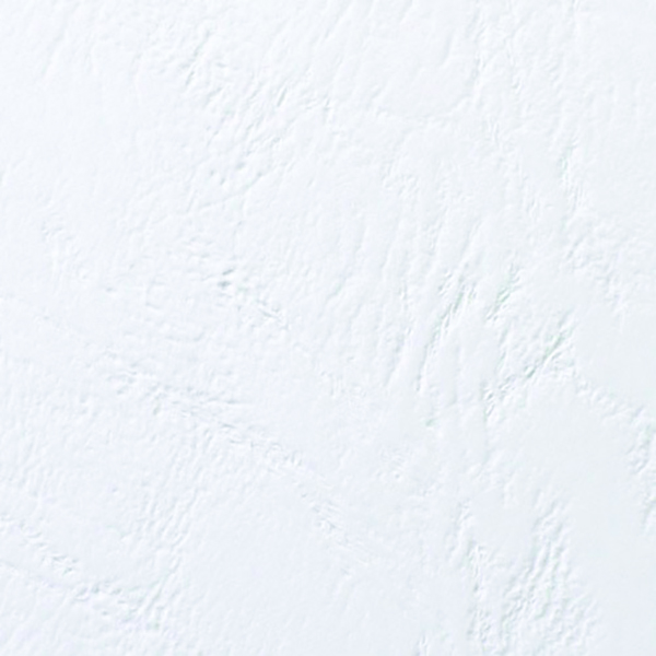 GBC 250g Leather Coverboards with Window White [Pack of 50]