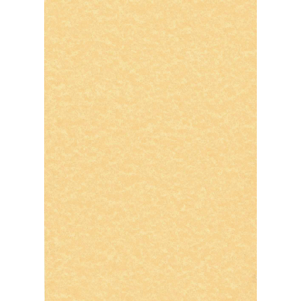 Decadry Parchment Gold Letterhead Paper [Pack of 100]