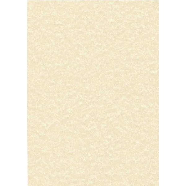 Decadry Parchment Champagne Letterhead Paper [Pack of 100]
