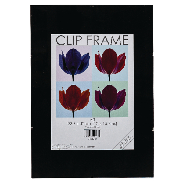 Signature Frameless Frame A3