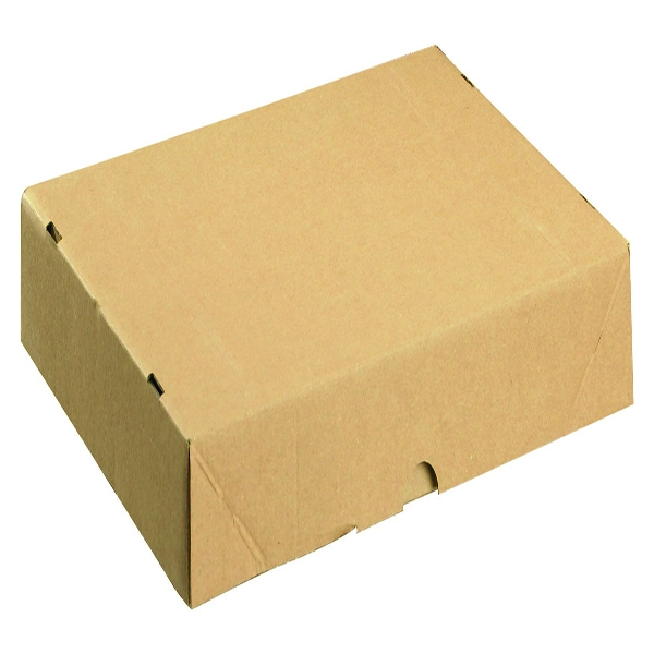A4 Carton 305x215x50mm [Pack of 10]