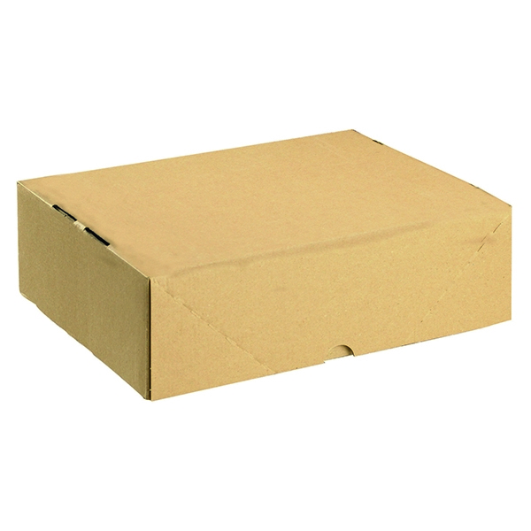 A4 Carton 305x215x100mm [Pack of 10]