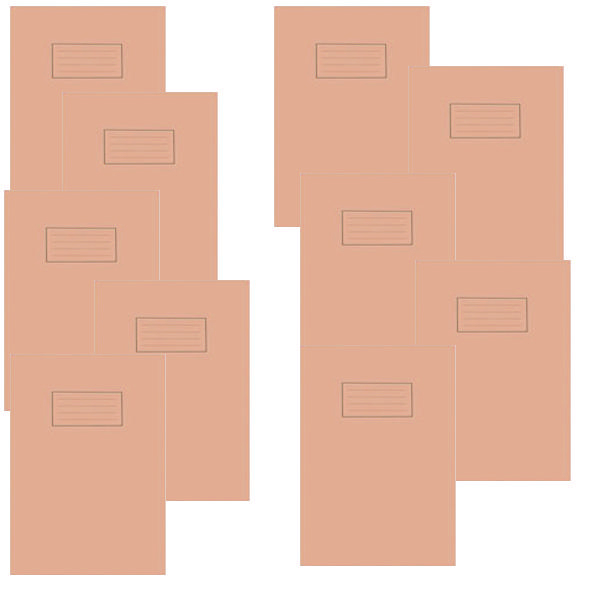 Silvine A4 Exercise Book 80 Pages 5mm Square Orange [Pack of 10]