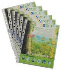 SS Eco Punch Pocket  Clear [Pack of 100]