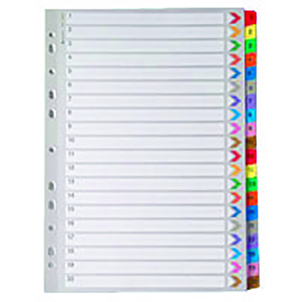 Mylar Index A4 1-20 Multicoloured